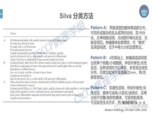黄文亭 张询：宫颈腺癌分类介绍