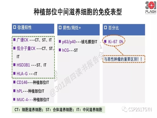 中间型滋养细胞肿瘤的诊断及鉴别诊断