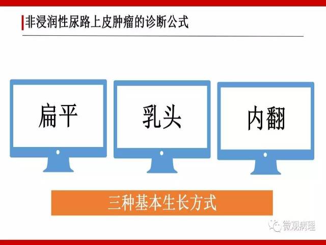 泌尿课程/非浸润性尿路上皮肿瘤诊断公式