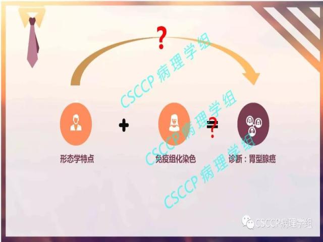 宫颈胃型腺癌中输卵管黏膜受累