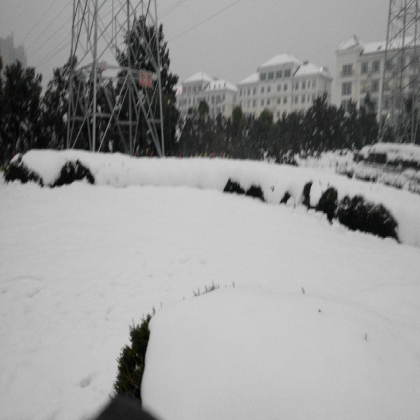 每年的第一场雪