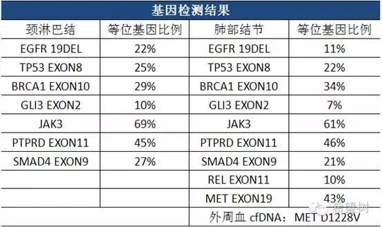 MET基因突变及扩增肺癌