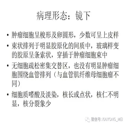 女性生殖道软组织肿瘤病理诊断及进展（二）