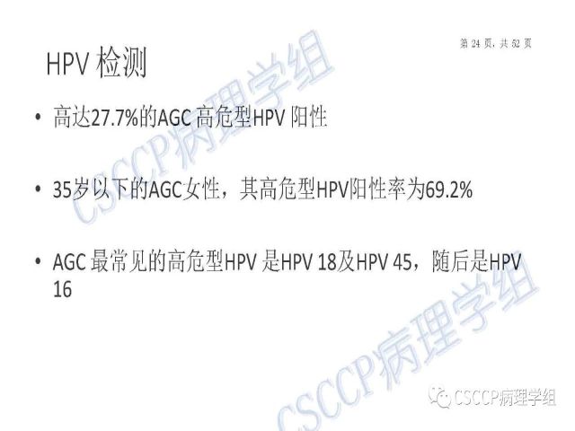 Atypical glandular cells: Recent Advances 非典型腺细胞新进展