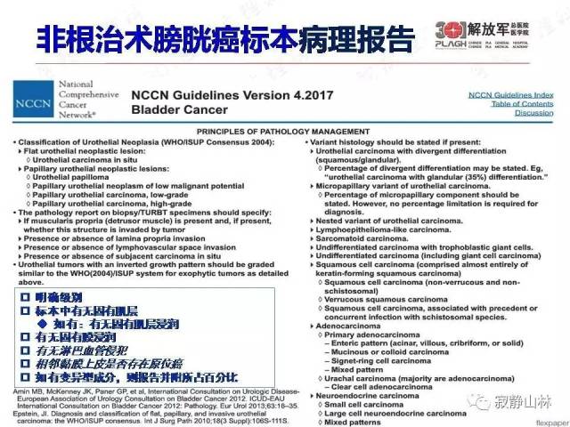 泌尿系统常见肿瘤标本病理报告规范