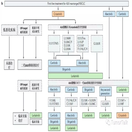 EGFR突变/ALK突变的NSCLC的治疗策略：序贯治疗or下一代TKI药物先行？