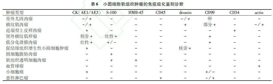 软组织肿瘤病理诊断免疫组化指标选择专家共识(2015)