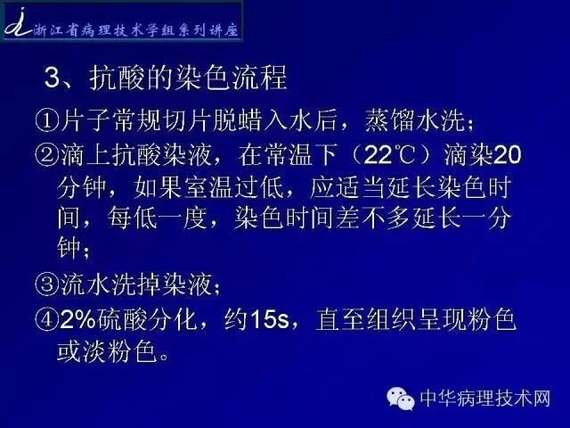 特殊染色-抗酸染色