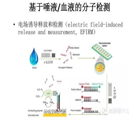肿瘤精确医疗与分子病理检测