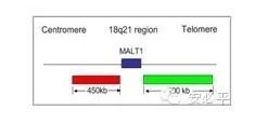 染色体异常FISH检测——淋巴瘤分子病理常规诊断工具