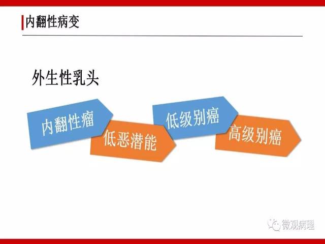 泌尿课程/非浸润性尿路上皮病变诊断的一些困惑