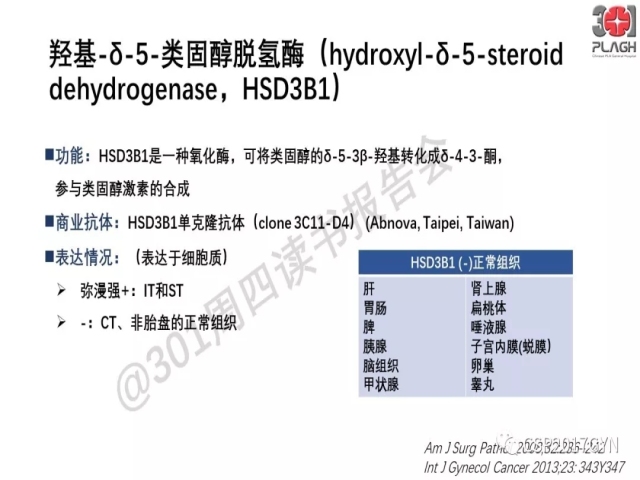 中间型滋养细胞肿瘤的诊断及鉴别诊断