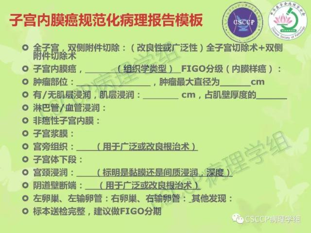 宫颈与子宫病变病理标本取材