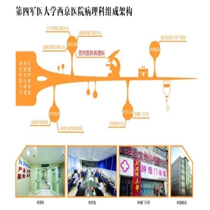 薪火传承，砥砺奋进-热烈祝贺西京医院病理科成立60周年