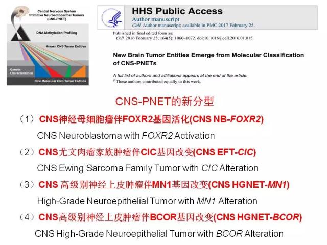[病理诊断]广东省人民医院李智：胶质瘤的病理诊断 从组织学表型到分子表型