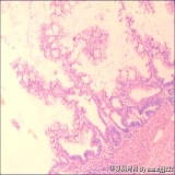 2012-05-28