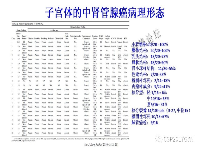 妇科肿瘤病理新进展——特殊类型的腺癌
