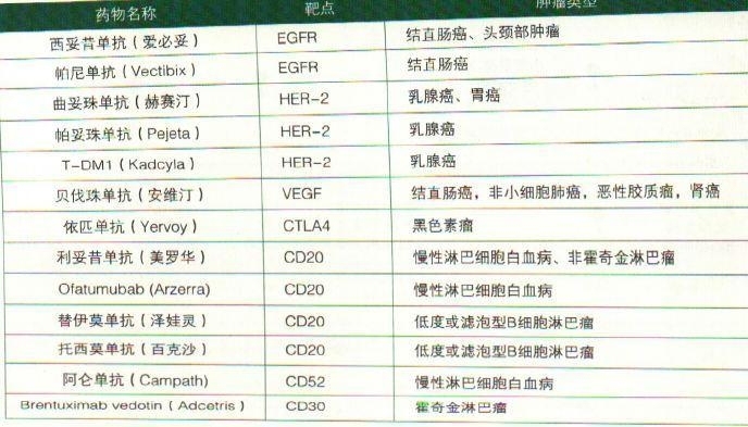 靶向抗体类药物表