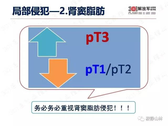 泌尿系统常见肿瘤标本病理报告规范
