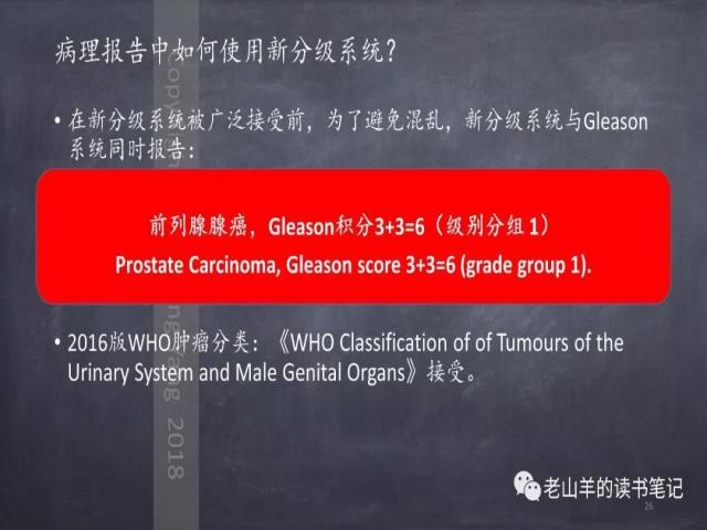 AJCC第8版 前列腺癌分期 之 病理学要点