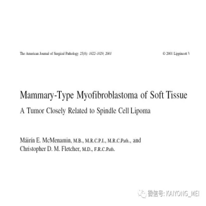 女性生殖道软组织肿瘤病理诊断及进展（二）