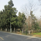 2012-12-10