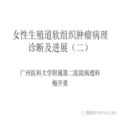 女性生殖道软组织肿瘤病理诊断及进展（二）