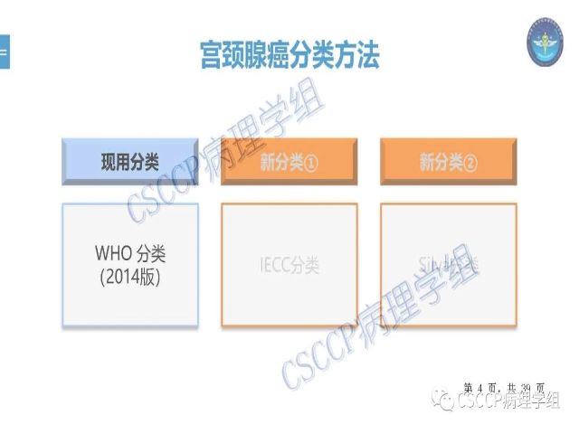 黄文亭 张询：宫颈腺癌分类介绍