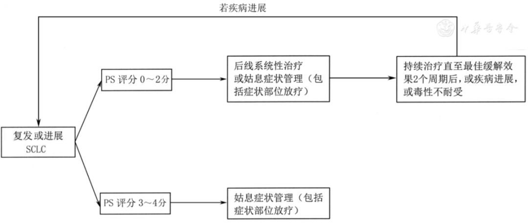 肺癌临床诊疗指南（2018版）
