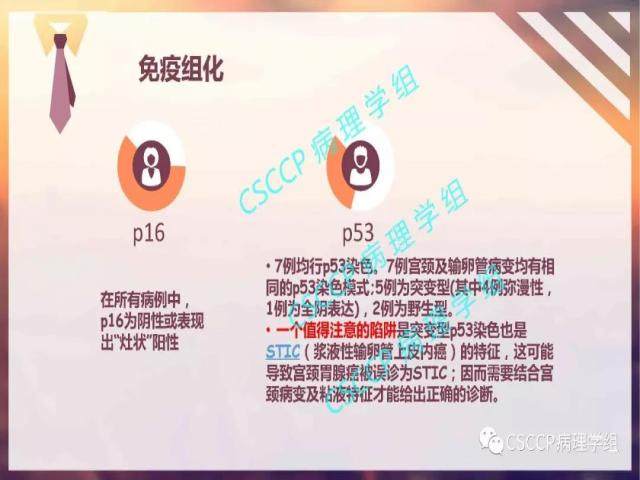 宫颈胃型腺癌中输卵管黏膜受累