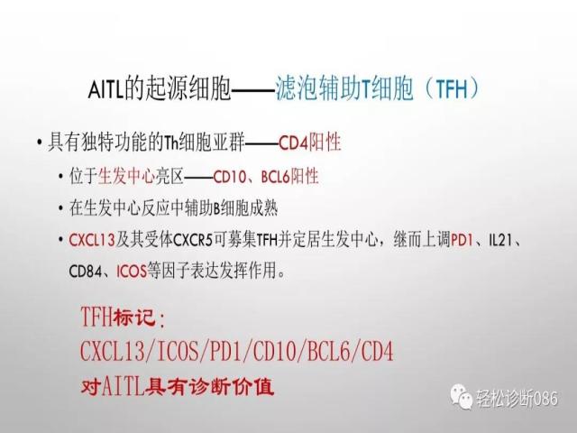 血管免疫母T细胞淋巴瘤的病理诊断
