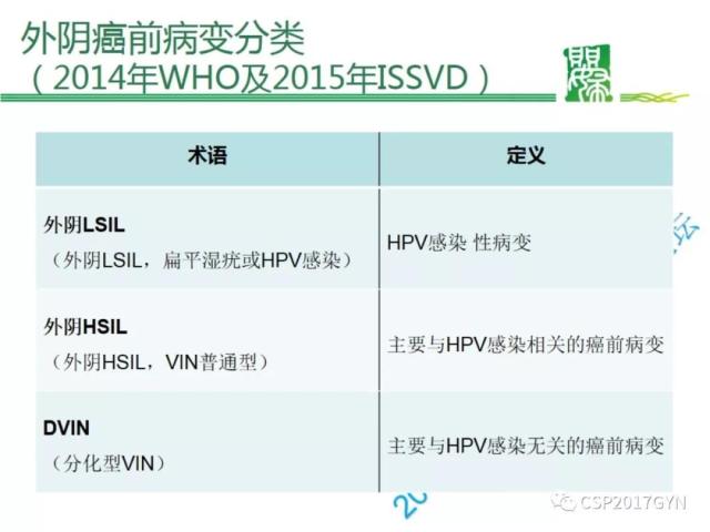 非HPV相关的外阴鳞状细胞肿瘤