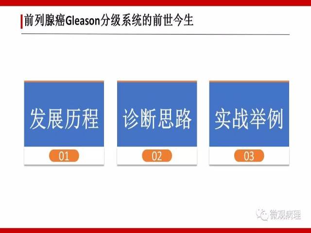 前列腺癌Gleason分级系统的前世今生
