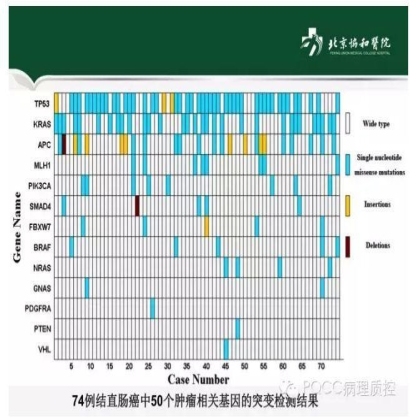 PQCC示范实验室展示——北京协和医院病理科