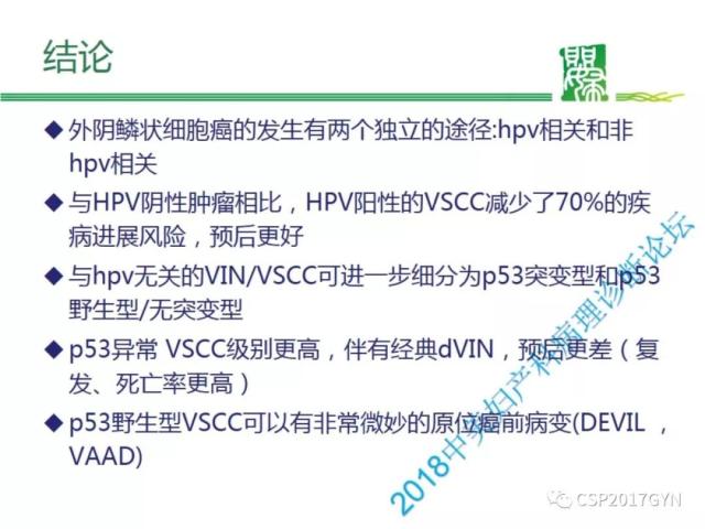非HPV相关的外阴鳞状细胞肿瘤