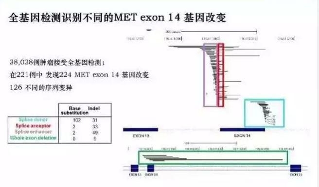 全基因或多基因检测，我们准备好了吗？
