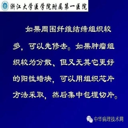 免疫组化液态阳性对照