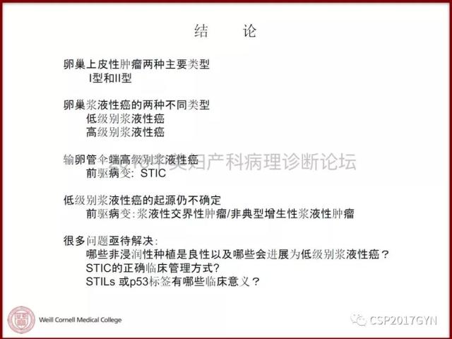非粘液性卵巢肿瘤的诊断挑战