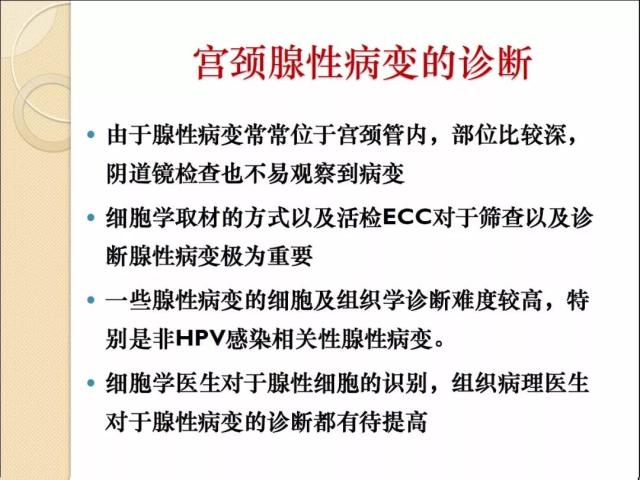 非HPV感染相关性宫颈腺性病变