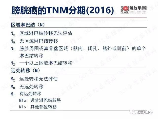 泌尿系统常见肿瘤标本病理报告规范