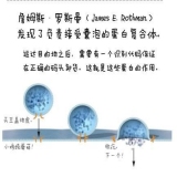 默认相册