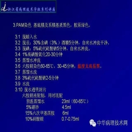 肾穿活检组织特殊染色方法