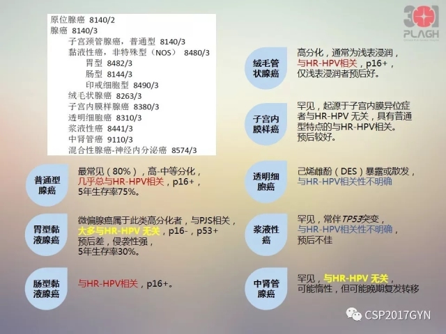 宫颈腺癌的临床病理研究进展