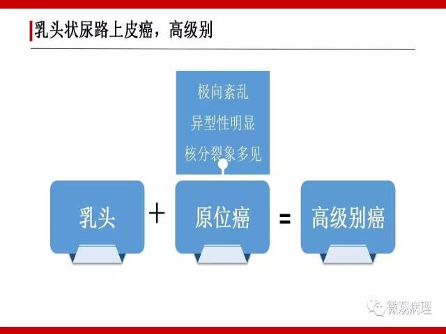 泌尿课程/非浸润性尿路上皮肿瘤诊断公式
