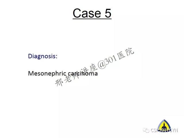 典型妇科病理病例的探究与分析