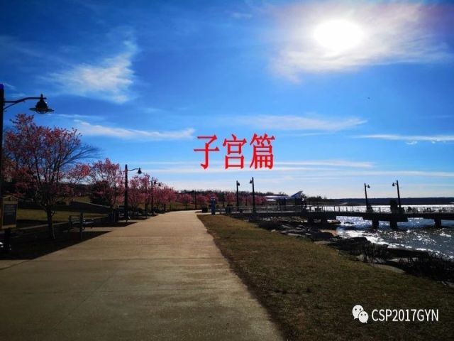 2019USCAP妇科病理热点介绍