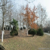 2012-12-10