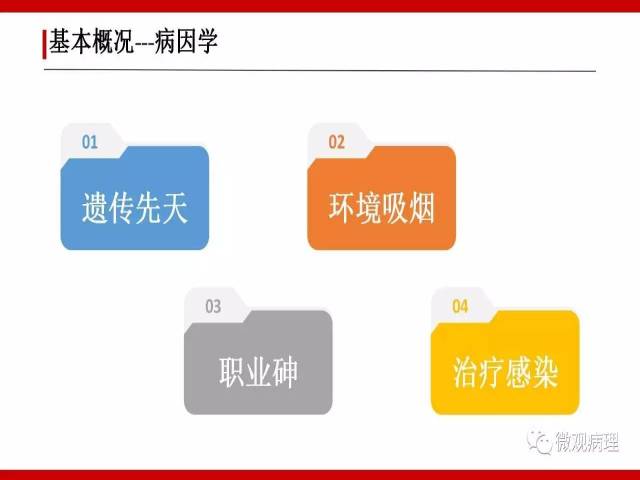 泌尿课程/浸润性尿路上皮癌病理学类型