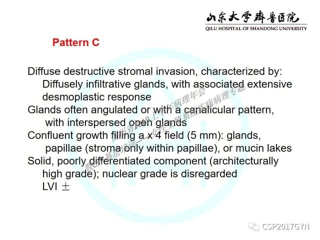 中华病理学会基层培训遵义站讲座（四）——宫颈腺癌的诊断及新分型