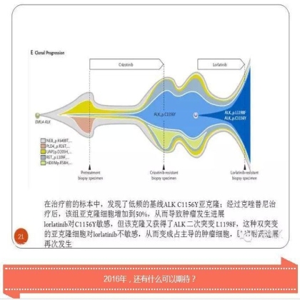 2015年，我们一起膜拜过的新英格兰